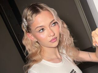 free web cam FelicaTapper